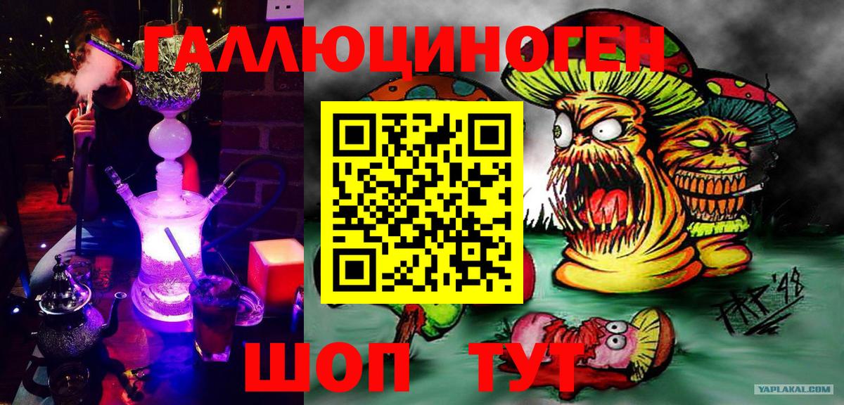 Псилоцибиновые грибы Psilocybine cubensis Тихвин